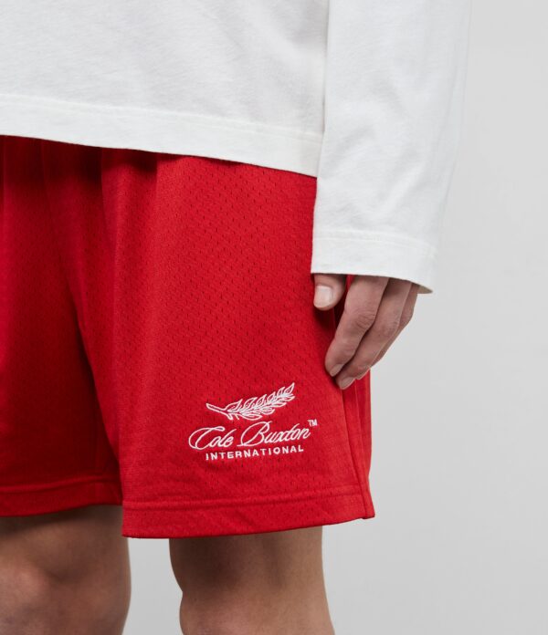 International Mesh Shorts